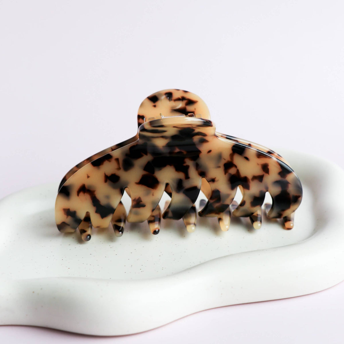 The Agatha - Tortoise