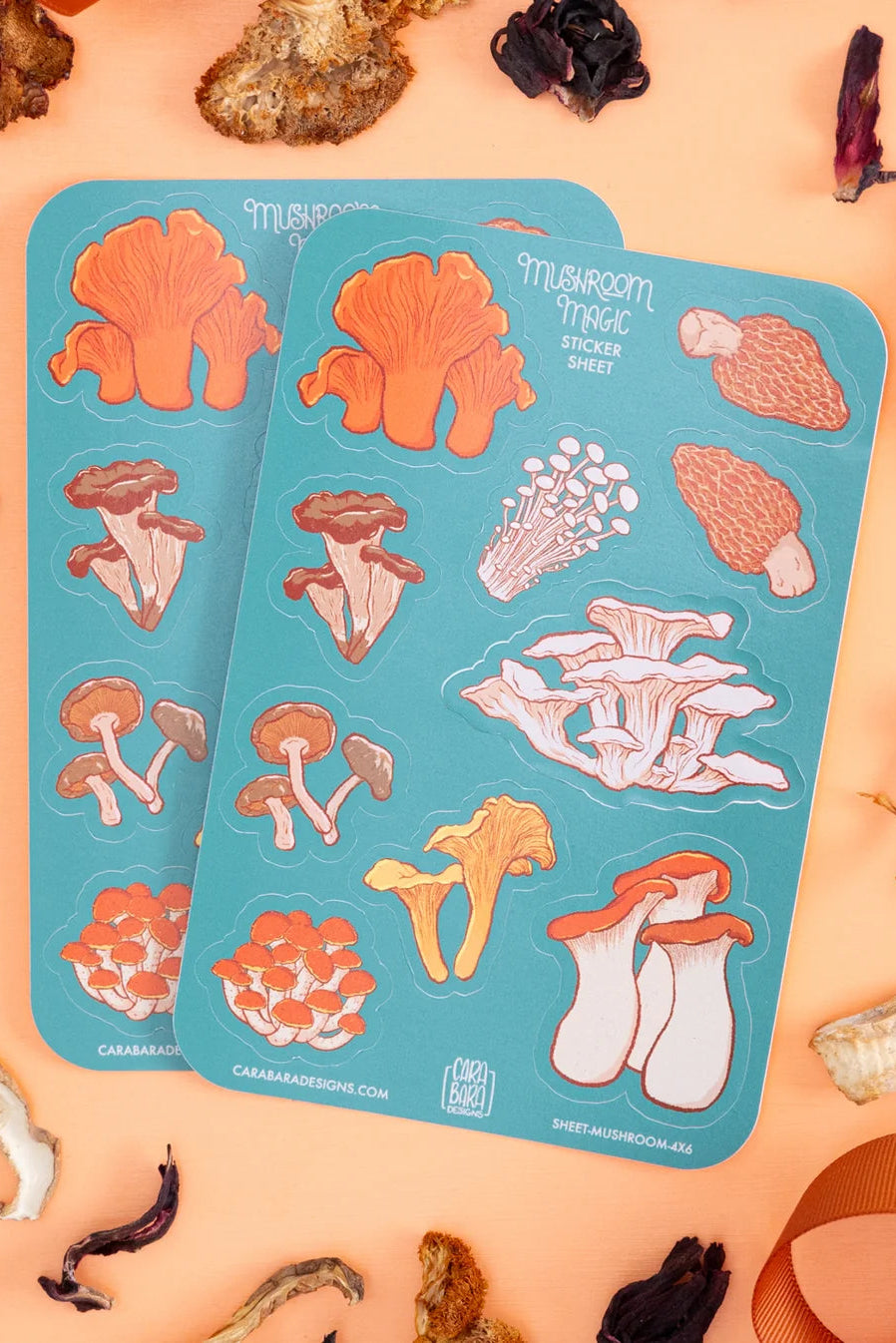 Vinyl Sticker Sheets (4 Styles)