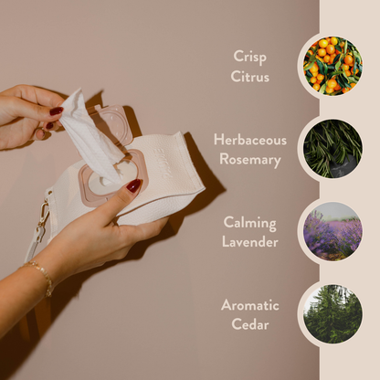 Cleansing Hand & Body Wipes