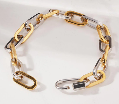Relier Carabiner BiColour Link Bracelet-Waterproof  