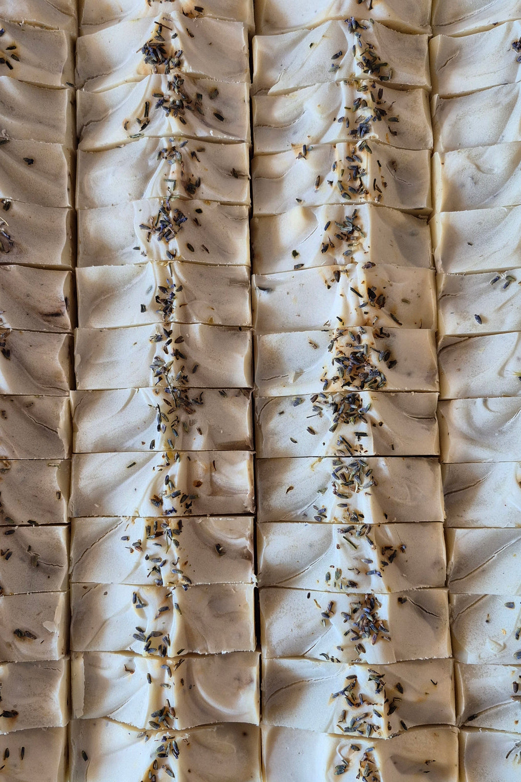Overhead view of long rows of  handmade Witch's Garden soap bar from Stay Wild Apothecary